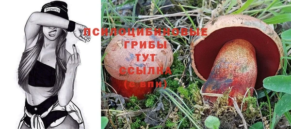 jwh Абинск