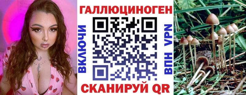 продажа наркотиков  блэк спрут как войти  Галлюциногенные грибы мицелий  Костерёво 